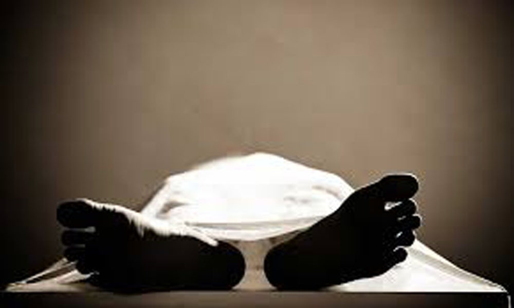 पाल्पामा खोलाले बगाउँदा दुई युवकको मृत्यु