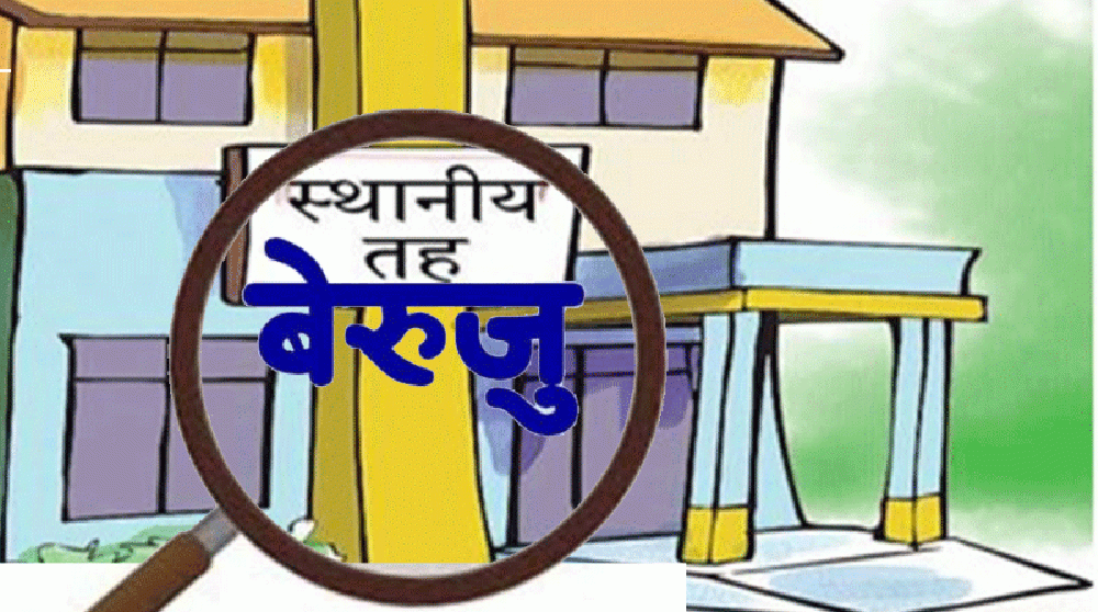 पाल्पाका स्थानीय तहको बेरुजु झण्डै १४ करोड