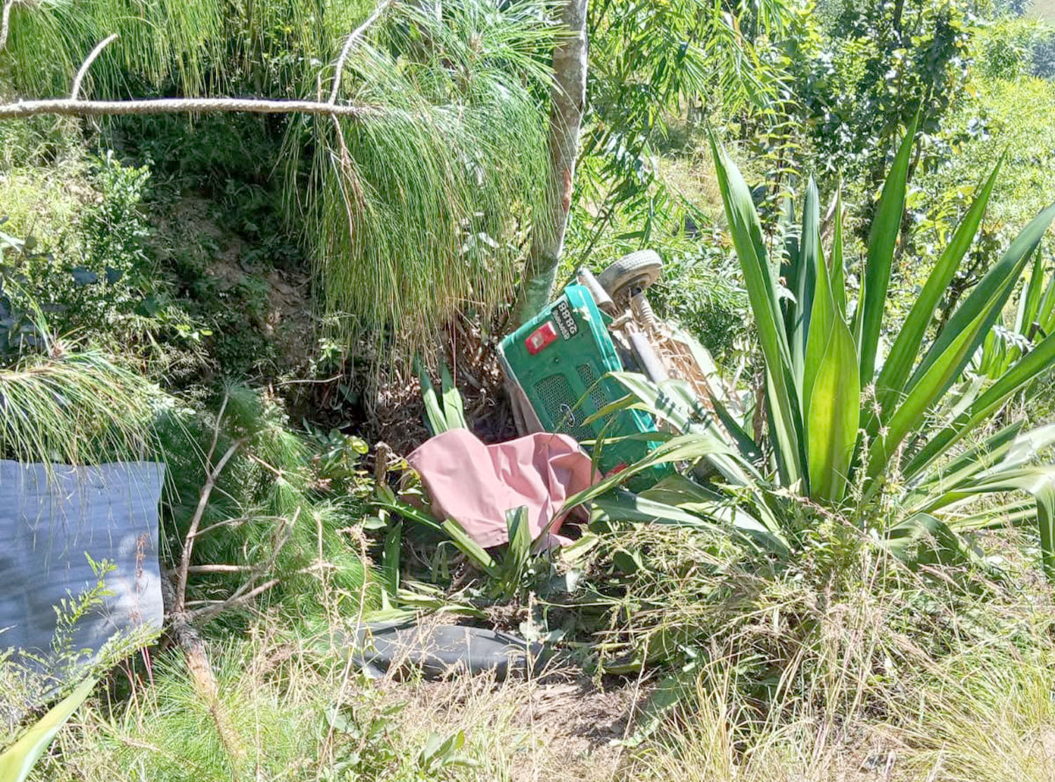 पाल्पाको रैनादेवीमा अटो दुर्घटना, ६ जना घाइते