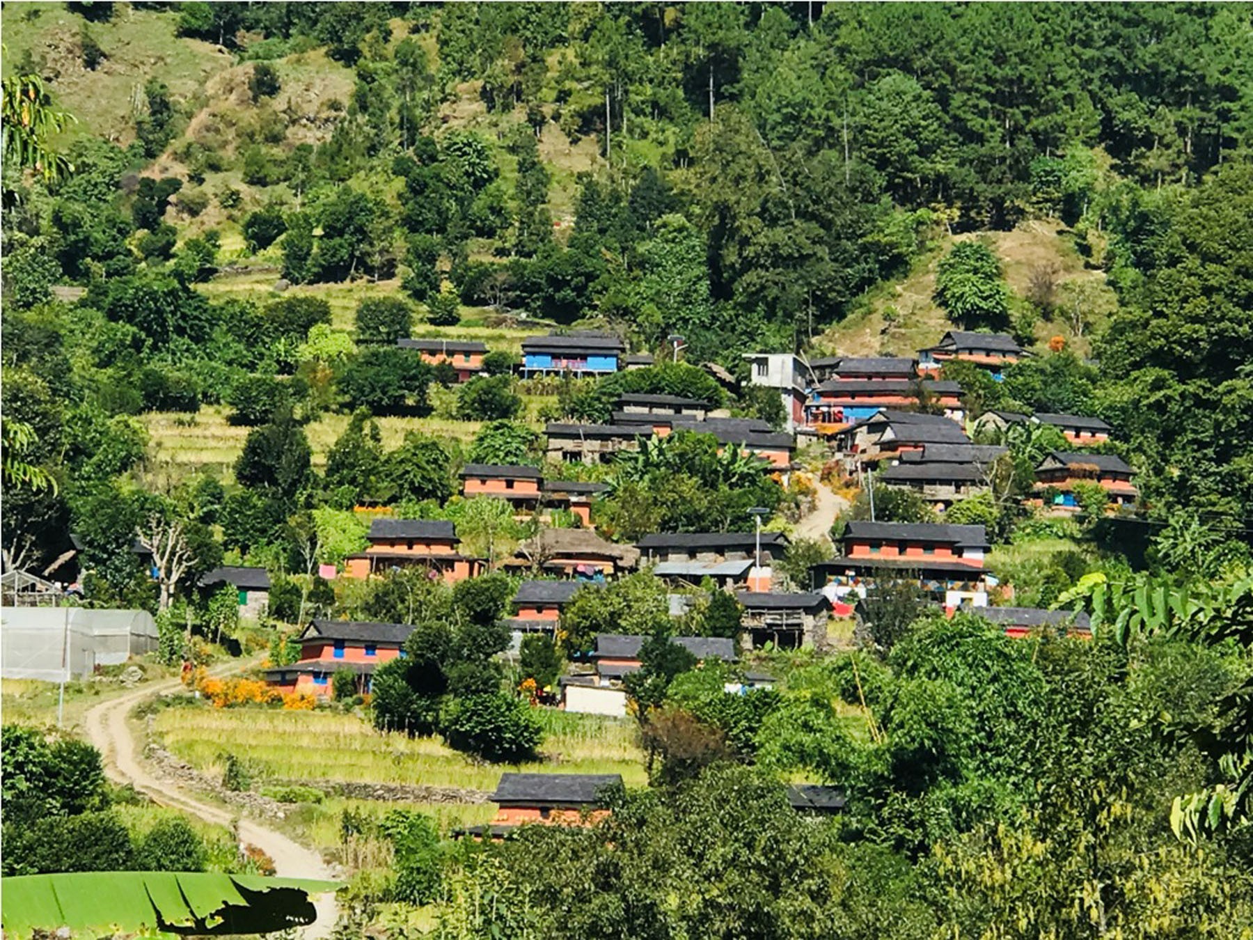 घुम्टे चढ्न रोक, मेला समेत स्थगन