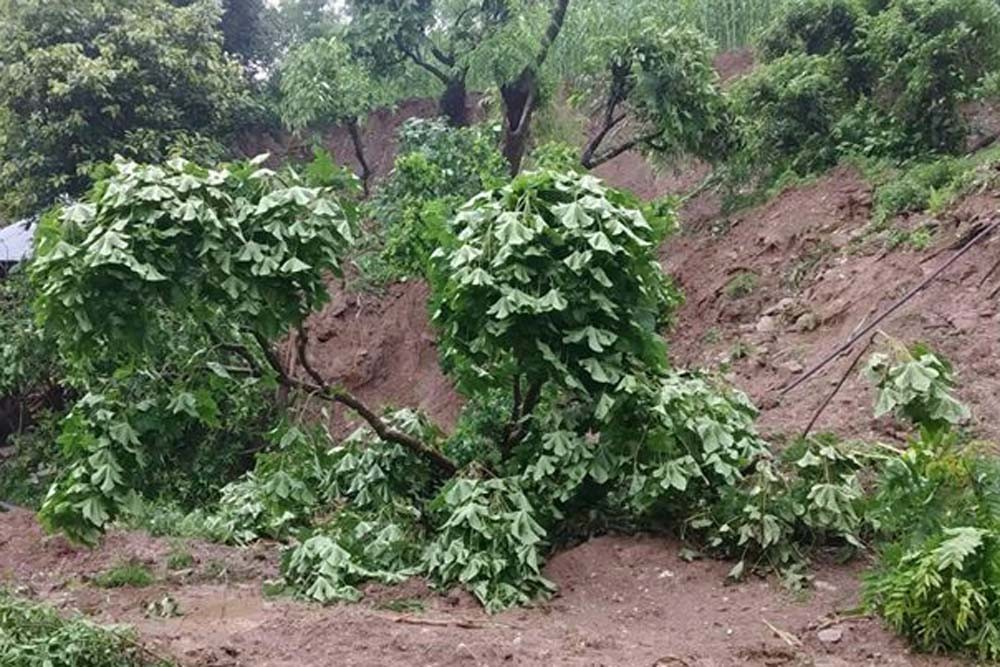 गुल्मीमा पहिरोले पुरिदा १८ महिने बच्चा सहित दुईको मृत्यु,एकको उद्धार