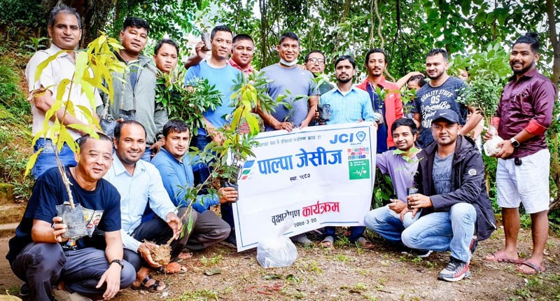 पाल्पा जेसिजले गर्‍यो वृक्षारोपण