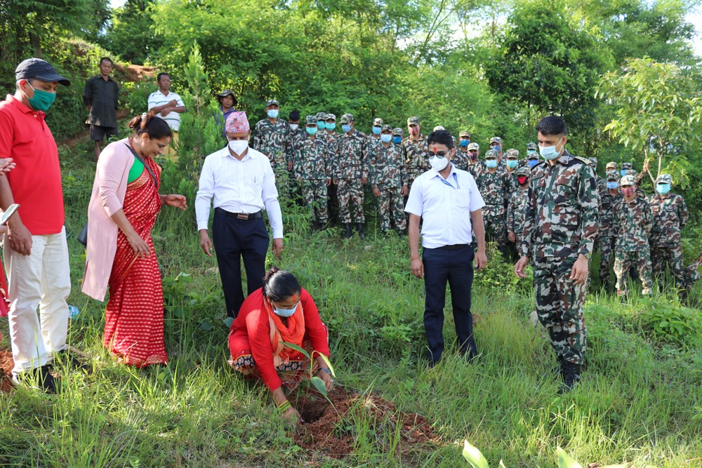 नेपाली सेनाद्वारा सामुदायिक वनमा वृक्षरोपण