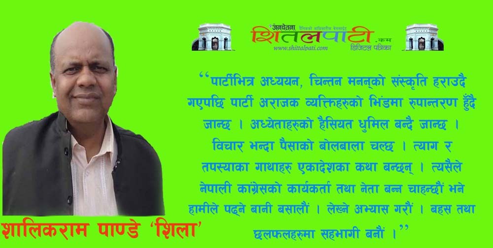 काँग्रेसको आसन्न महाधिवेशन : वडादेखि जिल्लासम्म प्रतिनिधित्वको प्रावधान