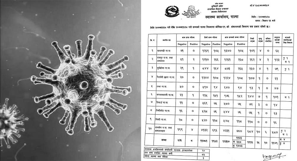 पाल्पामा कोरोना संक्रमण शून्य नजिक, सक्रिय संख्या दशमा झर्‍यो