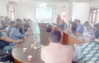 पाल्पामा डेंगी संक्रमण बढ्दो