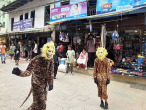 तानसेनमा देखाइयो बाघ जात्रा