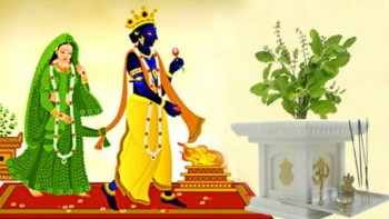 आज हरिबोधिनी एकादशी, तुलसीको विवाह गरिदैं