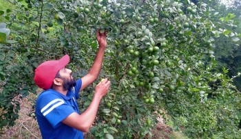 बाँझिएकोे जमिनलाई फाँडेर रहरलाग्दो कागतीखेती