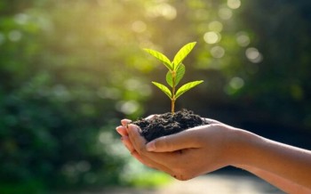 प्राकृतिक प्रकोप कम गर्न भू–संरक्षण दिवस