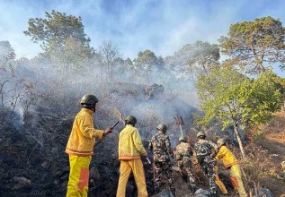 पाल्पाको रिब्दीकोट जंगलमा आगलागी 