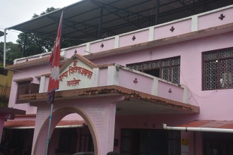 पाल्पामा एकै महिनामा ३१ मुद्दा दर्ता, १९ प्रतिवादी पक्राउ