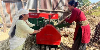 बाँझिएका बारीहरुमा उखुखेती लगाउँदा...