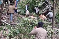 रोल्पामा जीप दुर्घटना हुँदा १८ जनाको मृत्यु