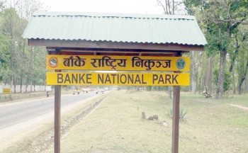 घडियाल गोहीको प्राकृतिक वासस्थान जोखिममा