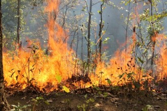 स्याङ्जामा डढेलोले दुई हजार हेक्टर वन क्षेत्रमा क्षति