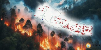 दाङका ८३ सामुदायिक वन डढेलोको जोखिममा