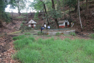 रामपुरमा धुमधामका साथ रामसीता विवाह उत्सव मनाउँदै  