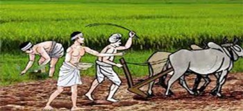 कृषि र पशुपालनलाई रोजगारीको प्रमुख माध्यम बनाउँदै रुरुका किसान