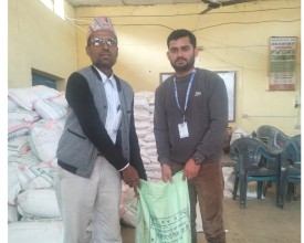 अनुदानमा रामपुरका किसानलाई मकैको बीउ