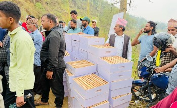 किसानलाई मौरीसहित सामग्री वितरण