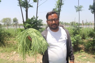 जग्गा भाडामा लिएर व्यावसायिक तरकारी खेतीमा रमाउँदै युवा महेन्द्र खड्का