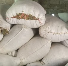 पाल्पाबाट छ वर्षयताकै उच्च दालचिनी भारत निर्यात
