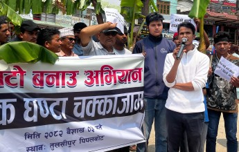 सडक निर्माणको माग गर्दै सडकमै रोपियो केराको बोट