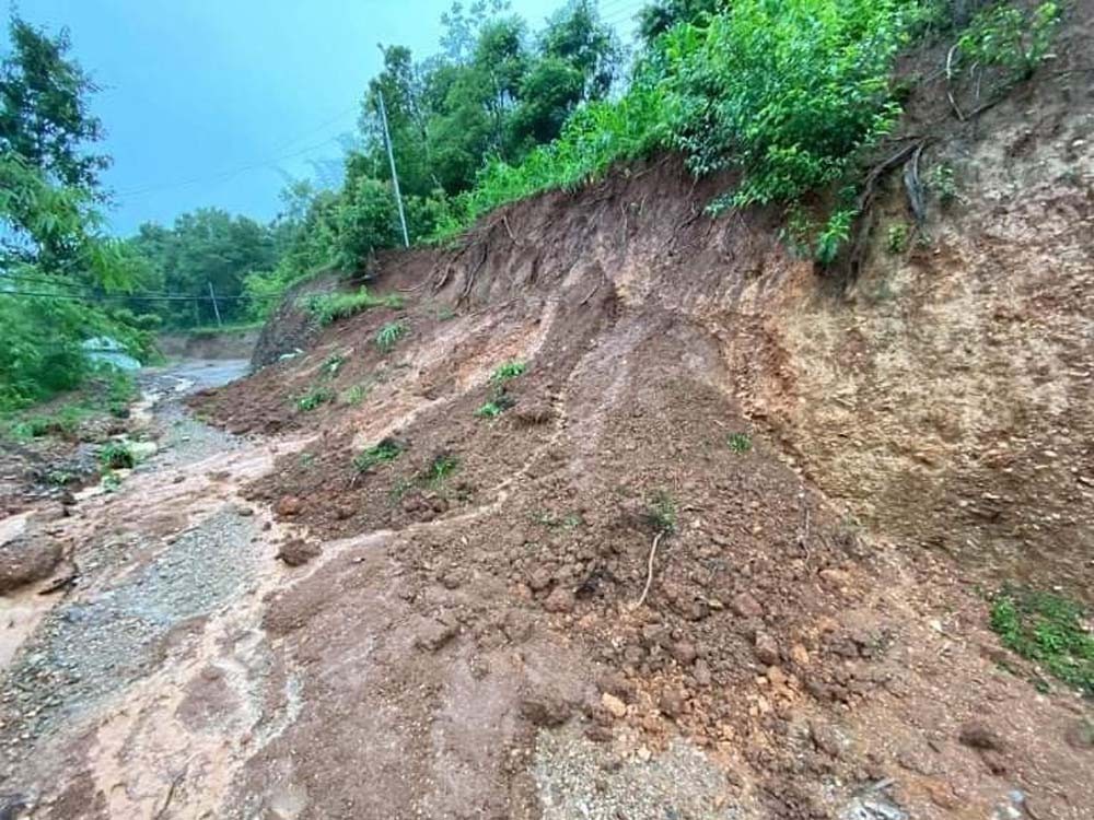 पाल्पाका ठाउँ–ठाउँमा पहिरो, घर भत्कियो, भैंसी पुरियो