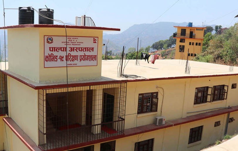 पाल्पामा संक्रमित घट्दै, निको हुने बढ्दै