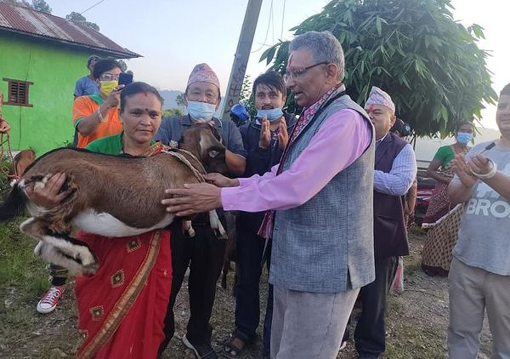 तानसेनमा बाख्रा पकेट क्षेत्र विस्तार