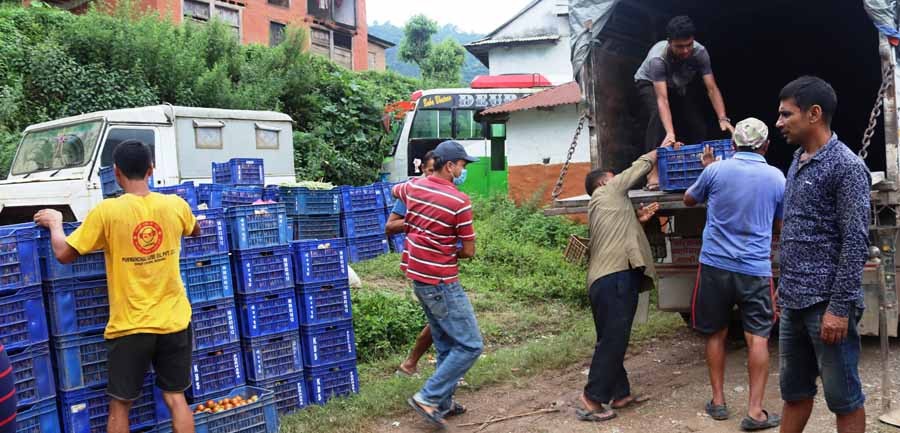 पाल्पामा कृषकको उत्पादनले उचित मूल्य पाएन