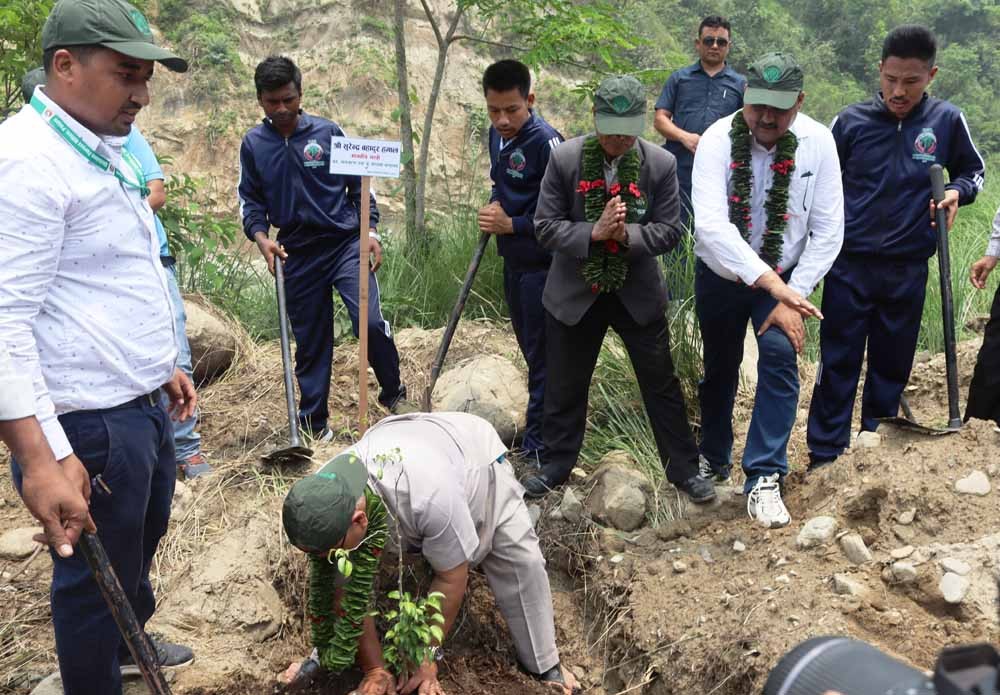 विश्व वातावरण दिवस : तिनाउको चुनुमाया पार्कमा गरियो वृक्षारोपण