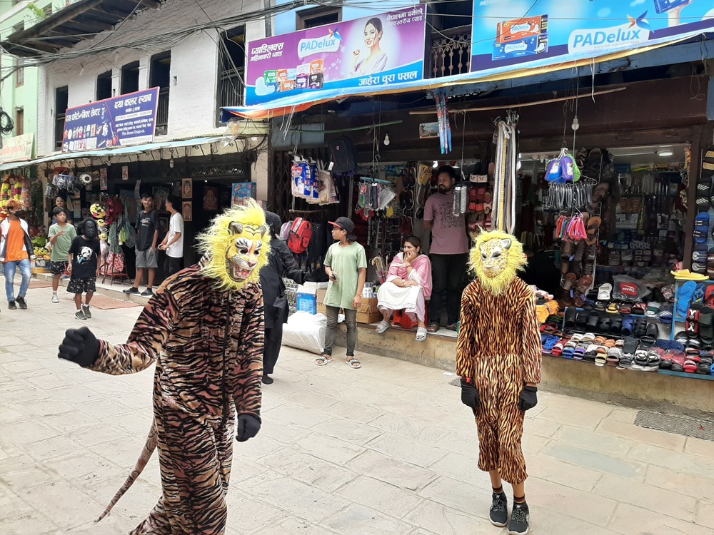 तानसेनमा बाघ जात्रा देखाइयो