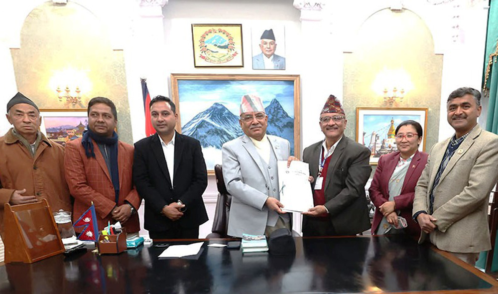 सरकारसमक्ष पाल्पालीको माग : भगवती जात्रालाई राष्ट्रिय उत्सवका रुपमा घोषणा गरौं