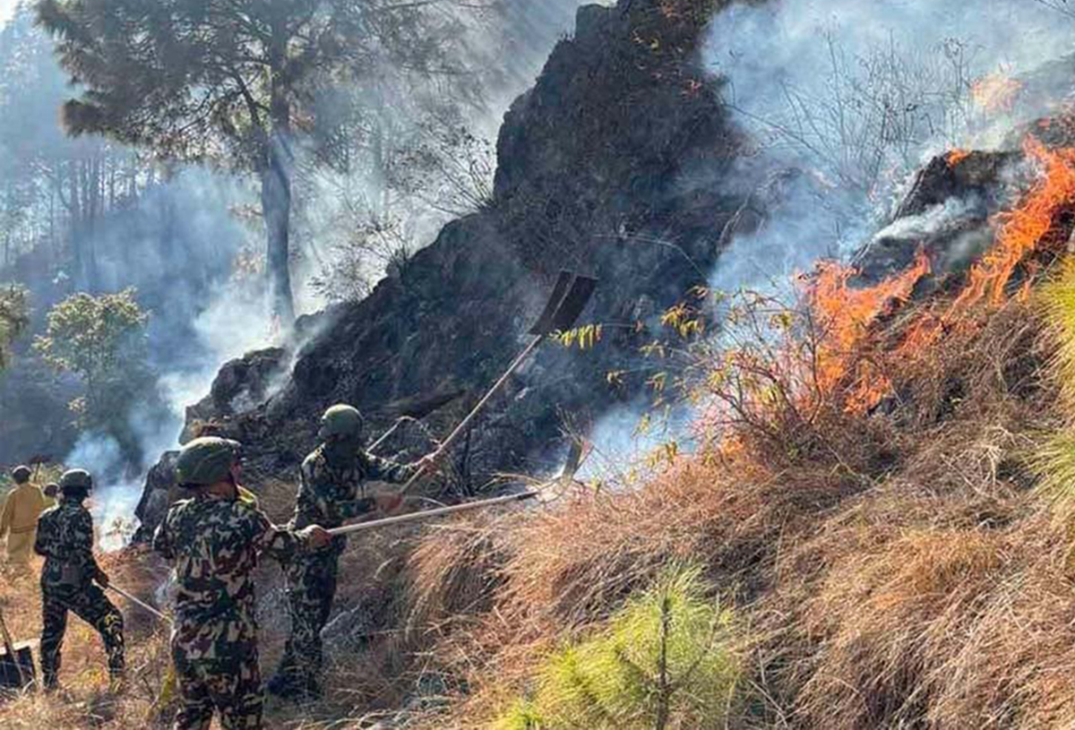 पाल्पा डढेलोः चार सामुदायिक वनमा क्षति