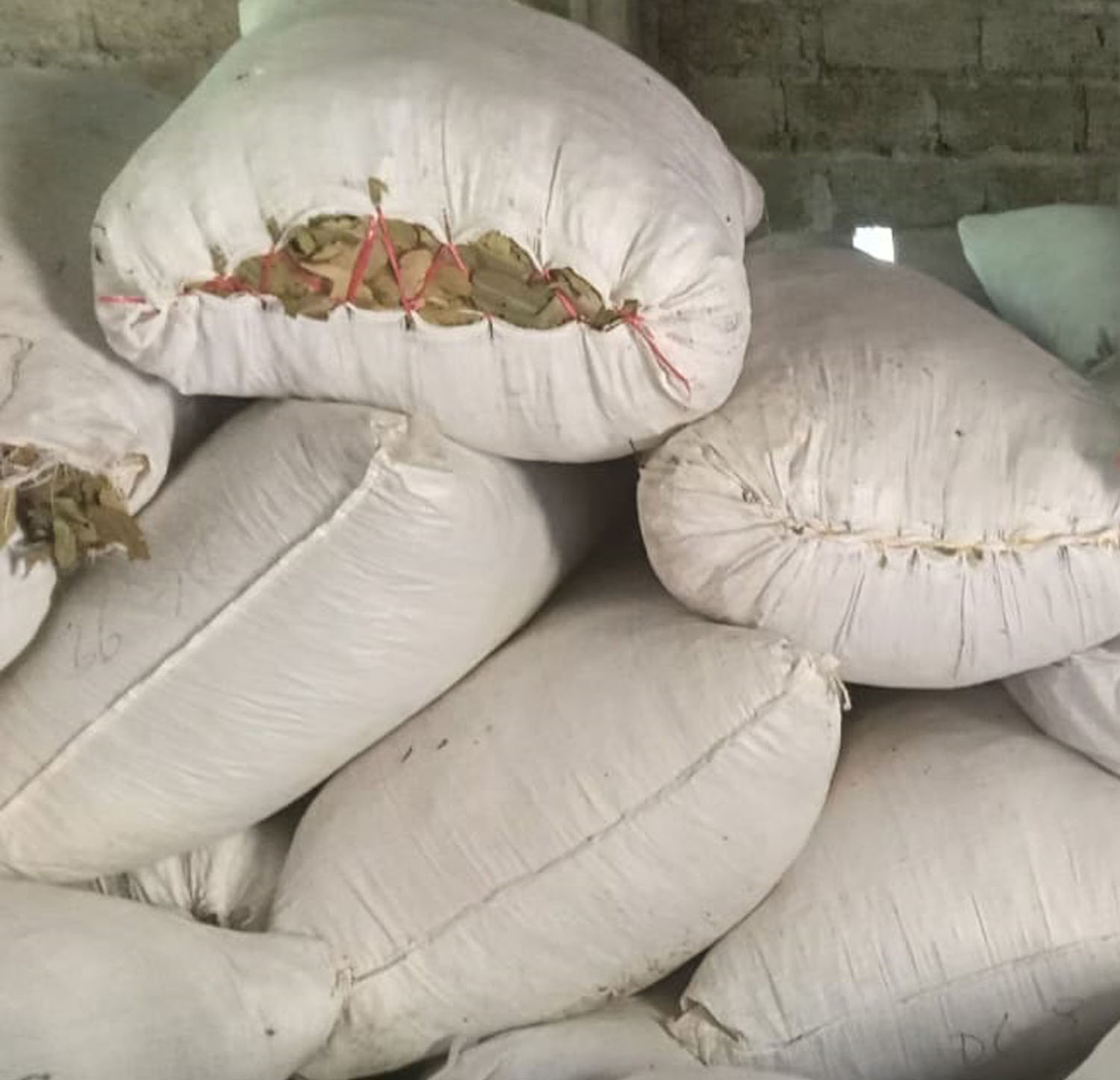 पाल्पाबाट छ वर्षयताकै उच्च दालचिनी भारत निर्यात
