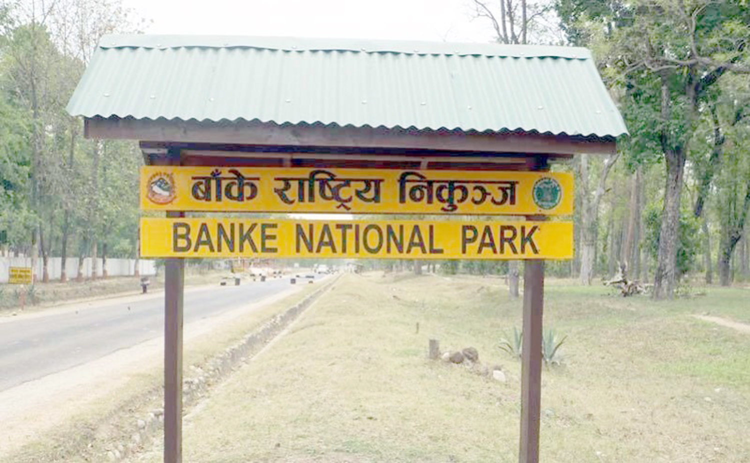बाँके राष्ट्रिय निकुञ्जमा हिउँदे पर्यटनको चहलपहल
