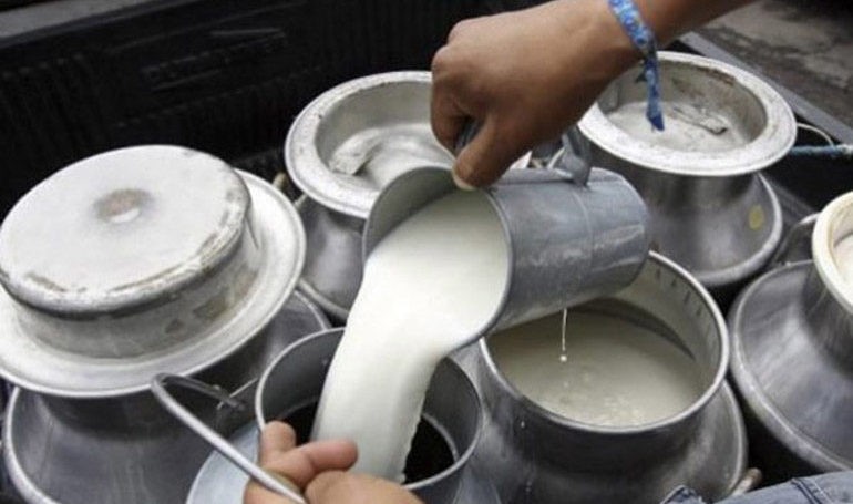 दैनिक दुई सय लिटर दूध बेचेर किसान पुरस्कृत