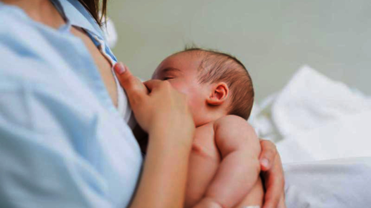 आमाको दूधको विकल्प खोज्न नहुने सरोकार भएकाहरूको जोड