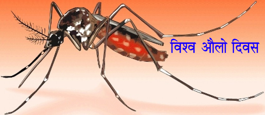 आज विश्व औलो दिवस, नेपालमा पनि मनाइँदै