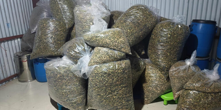 भानु नगरपालिकाले गुन्द्रुक ब्राण्डिङ गर्ने