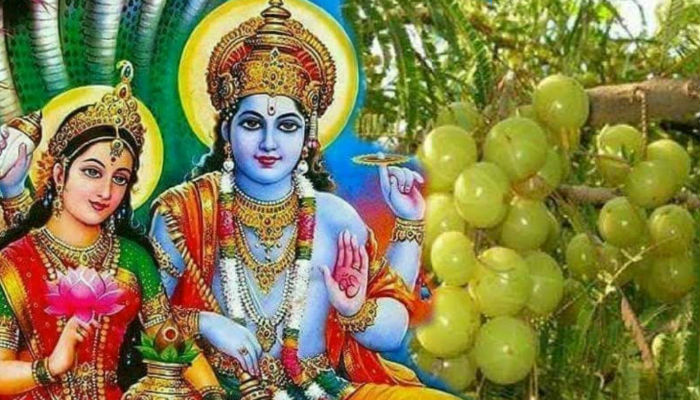 आज कुष्माण्डा नवमी पर्व