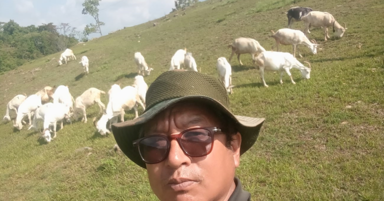 बाख्राको दूधबाट चिज बनाएर आम्दानी गर्दै गुरुङ