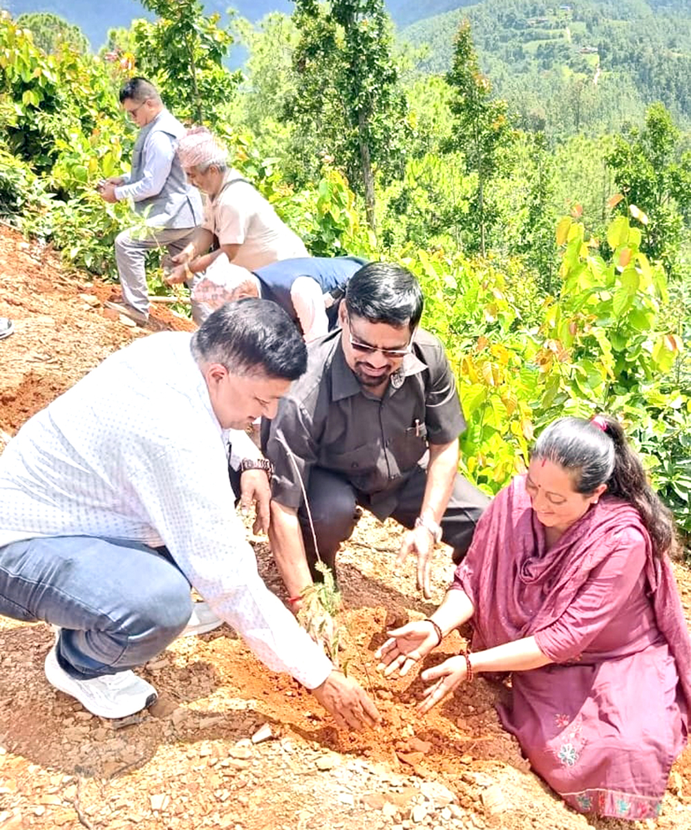 पाल्पामा वृक्षारोपण गरेर काँग्रेसले मनायो वि.पि स्मृति दिवस