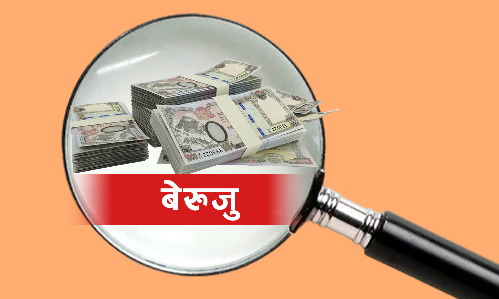 पाल्पाका स्थानीय तहको बेरुजुमा सुधार, अझै २० करोड ३८ लाख बेरुजु