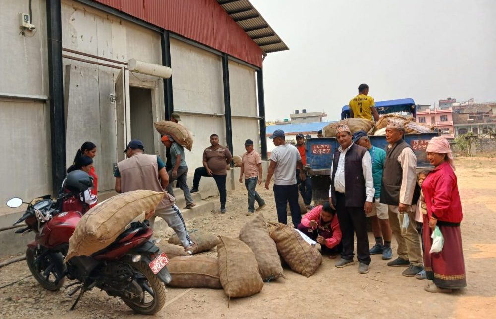 प्रयोगमा आयो शीतभण्डार, धमाधम आलु भण्डारण गरिँदै