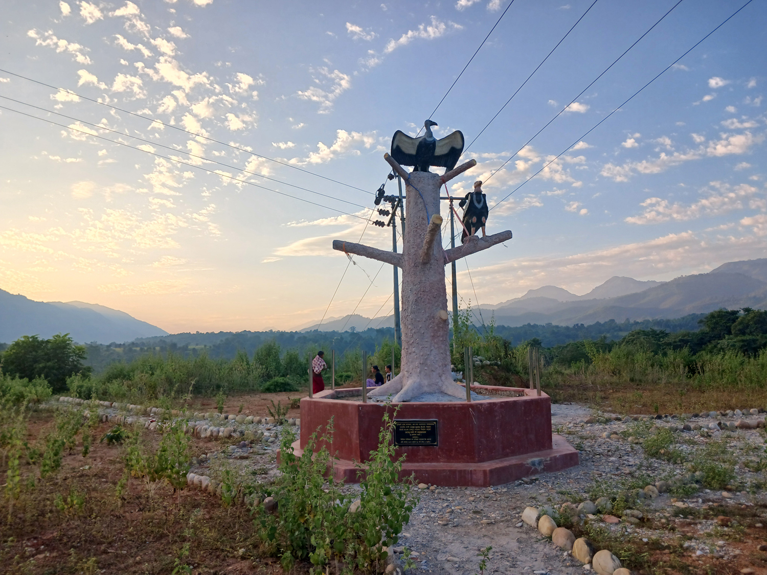 आहार व्यवस्थापनले गिद्धको संख्या बढ्दै