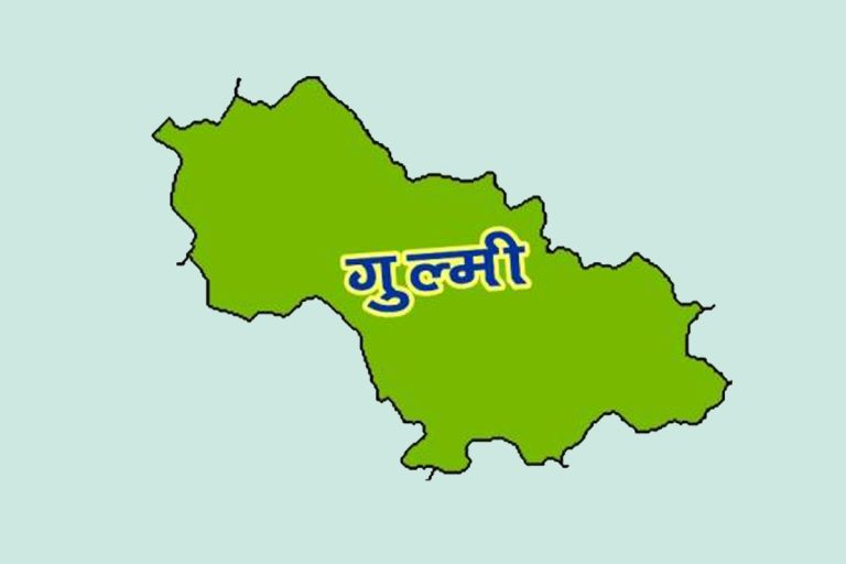 गुल्मीका सरकारी कार्यालयमा जनशक्ति अभाव