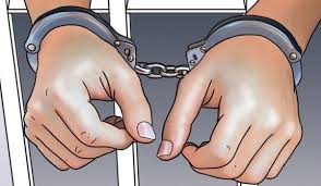 अवैध लागूऔषध सहित १३ जना पक्राउ